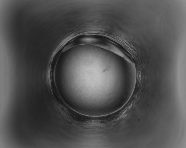 X0000094450244200711081310