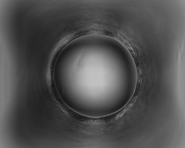 X0000094450245200711081310