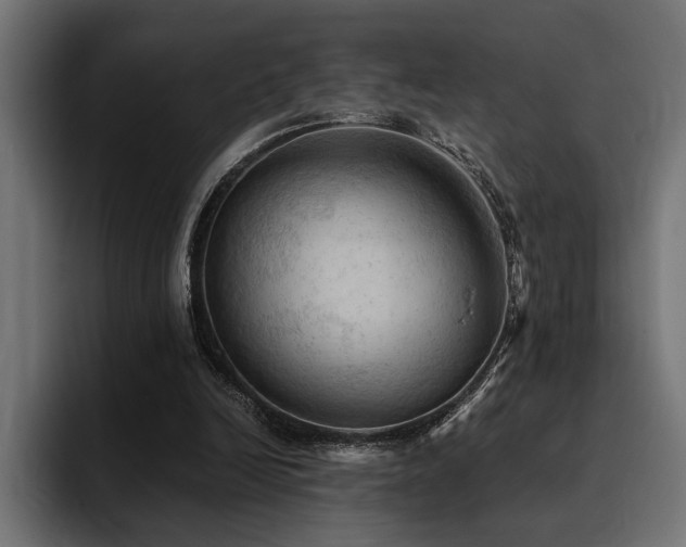 X0000094450246200711081311