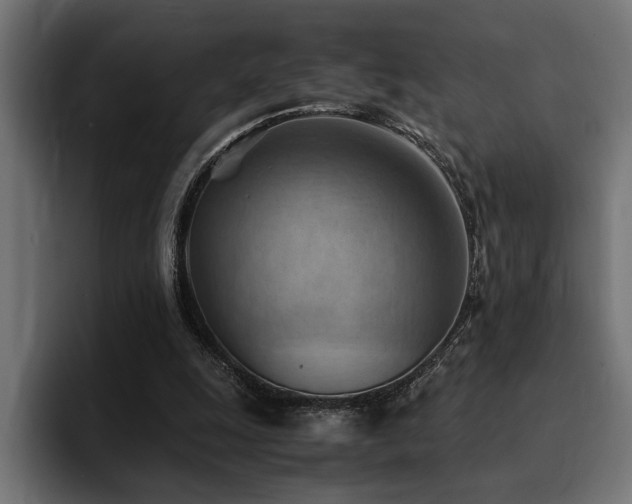 X0000094450247200711081311