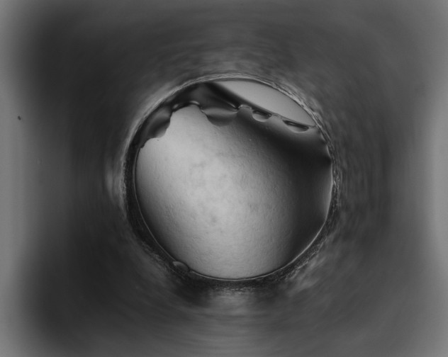 X0000094450248200711081311
