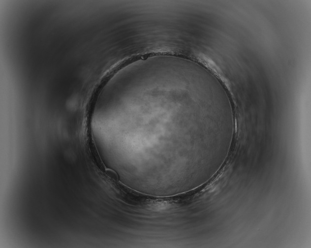 X0000094450249200711081311