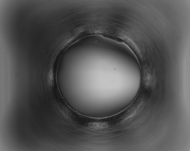 X0000094450251200711081311
