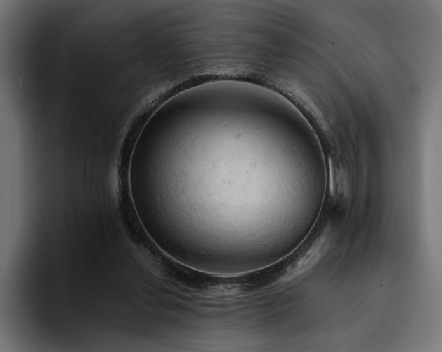 X0000094450252200711081311