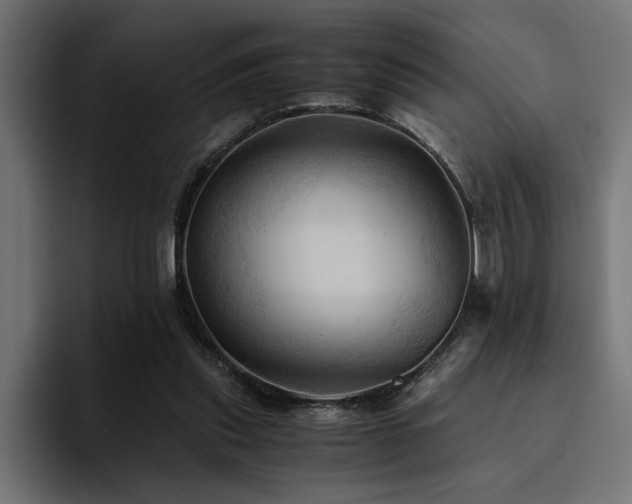 X0000094450253200711081311