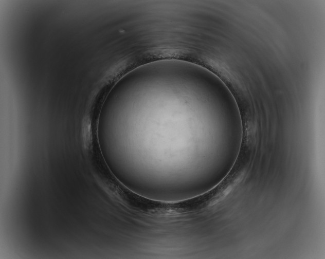 X0000094450254200711081311