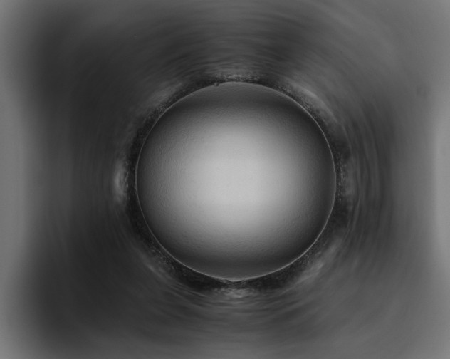 X0000094450255200711081311
