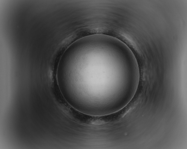 X0000094450258200711081311