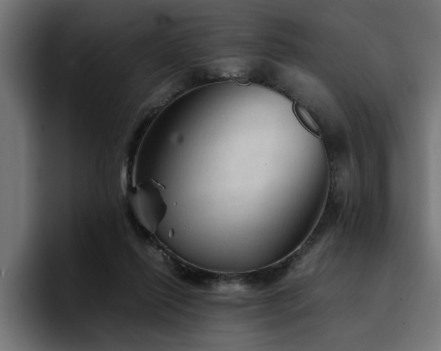X0000094450262200711081311