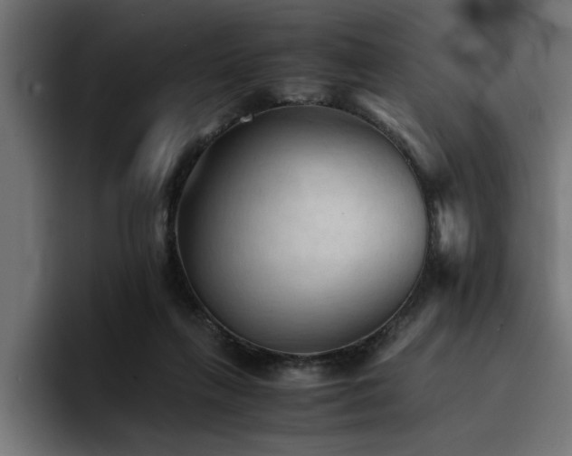 X0000094450263200711081311