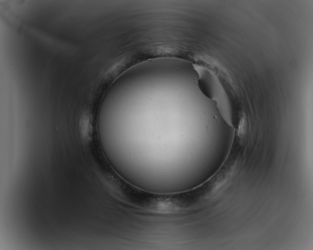 X0000094450264200711081311