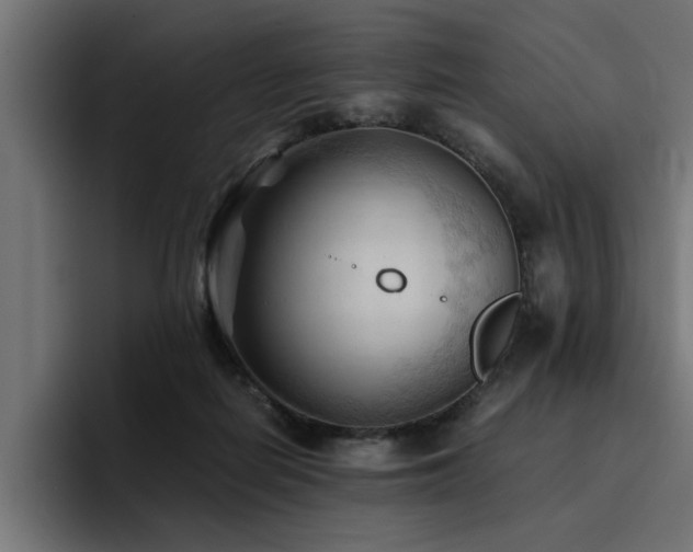 X0000094450266200711081311
