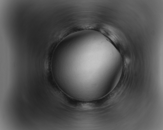 X0000094450268200711081311