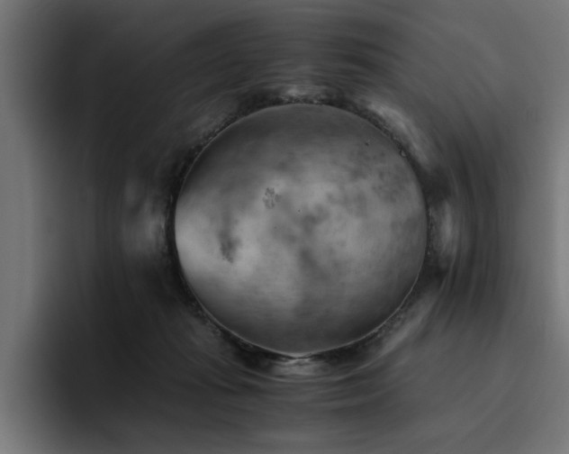 X0000094450269200711081311