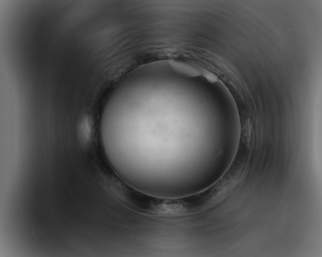 X0000094450270200711081311