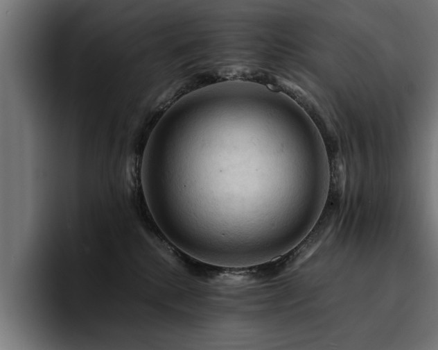 X0000094450280200711081311