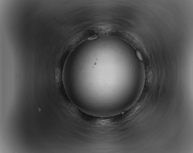 X0000094450283200711081311