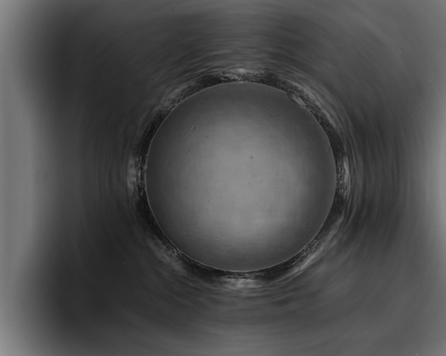 X0000094450284200711081311