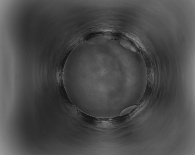 X0000094450285200711081311