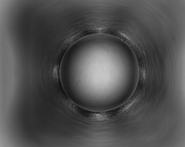 X0000094450286200711081311