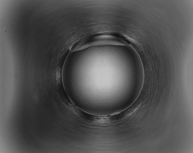X0000094450288200711081311