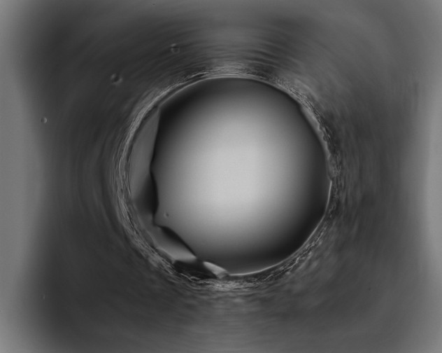 X0000094450289200711081310