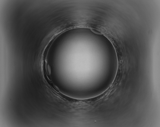 X0000094450290200711081310