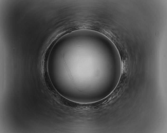 X0000094450291200711081310