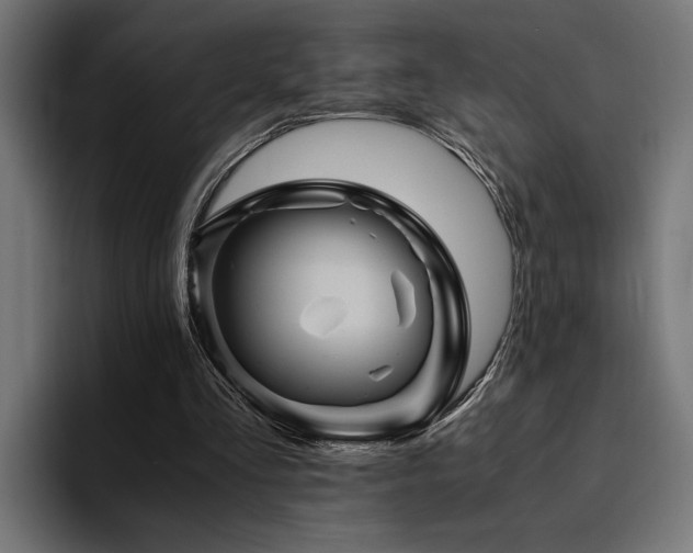 X0000094450293200711081310