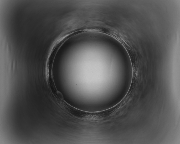 X0000094450294200711081310