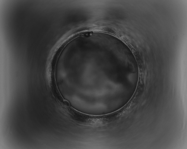 X0000094450295200711081310