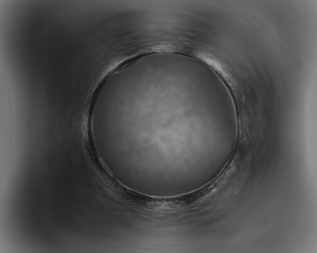 X0000094450297200711081310