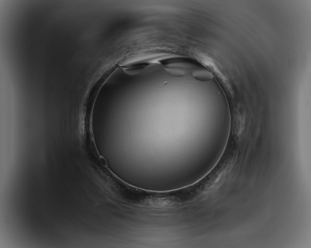 X0000094450299200711081310