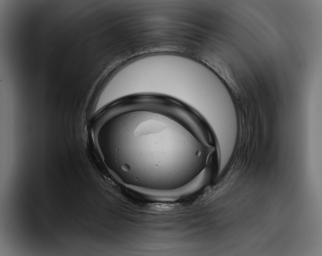 X0000094450300200711081310