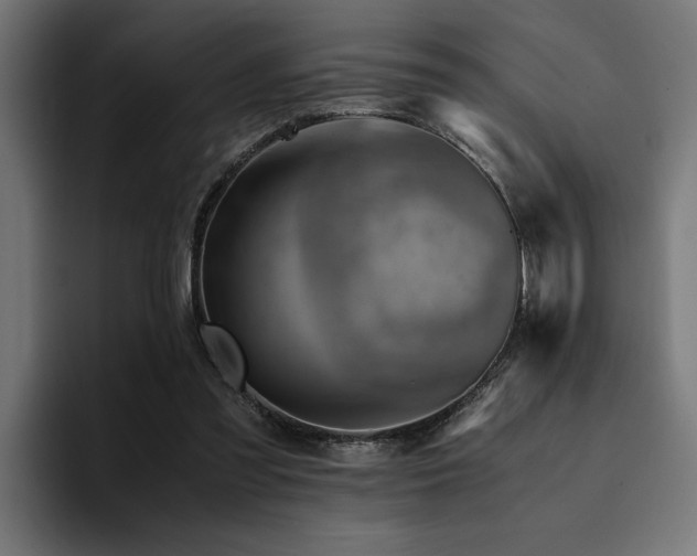 X0000094450301200711081310