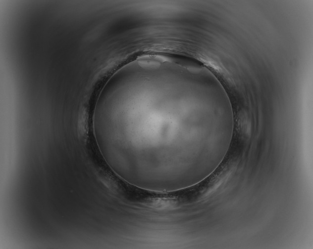 X0000094450303200711081310