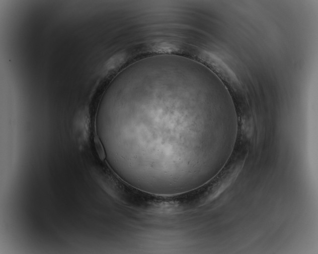 X0000094450304200711081310
