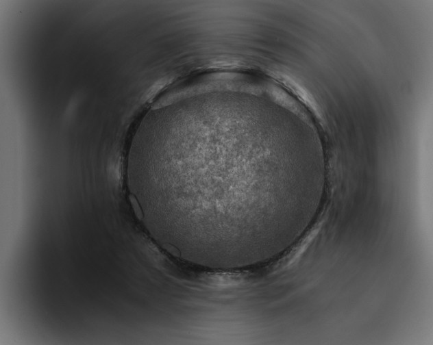 X0000094450305200711081310