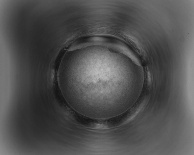 X0000094450308200711081310