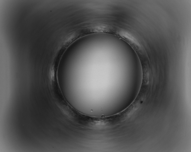 X0000094450310200711081310
