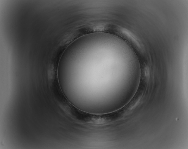 X0000094450311200711081310