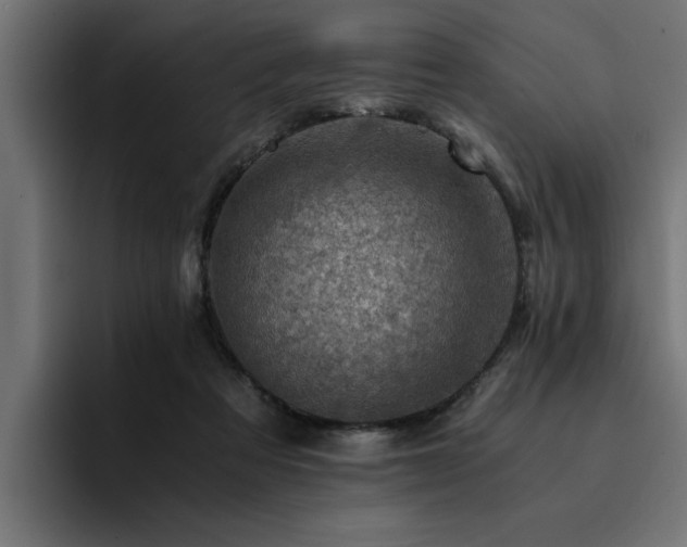 X0000094450313200711081310