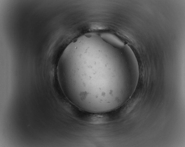 X0000094450315200711081310