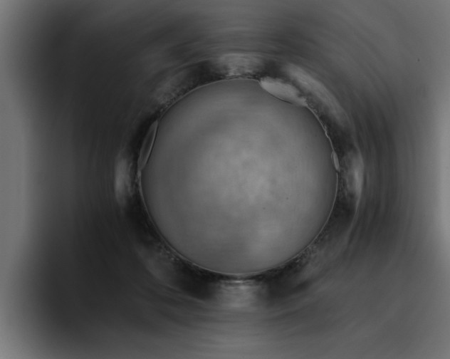 X0000094450316200711081310