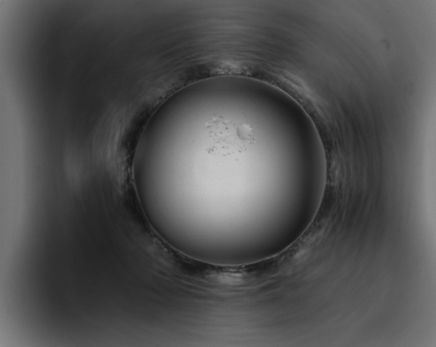 X0000094450318200711081310