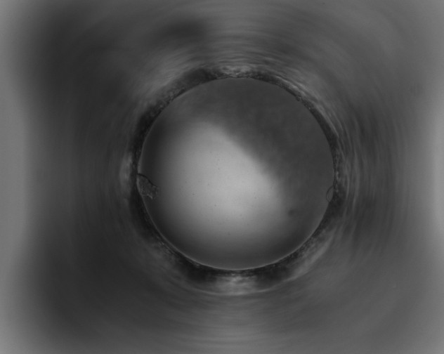 X0000094450319200711081310