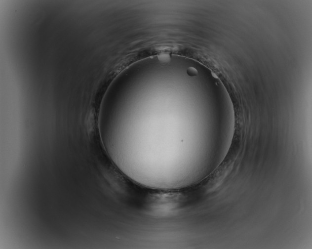 X0000094450323200711081310