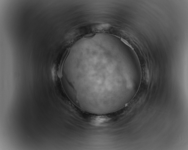 X0000094450324200711081310