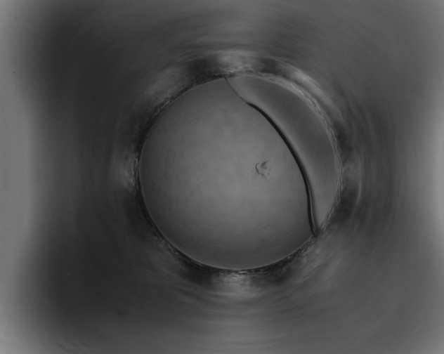 X0000094450325200711081310