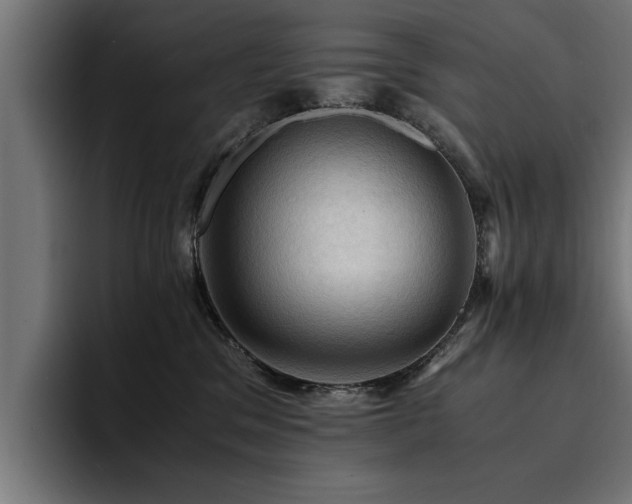 X0000094450329200711081310